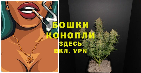 дурь Няндома