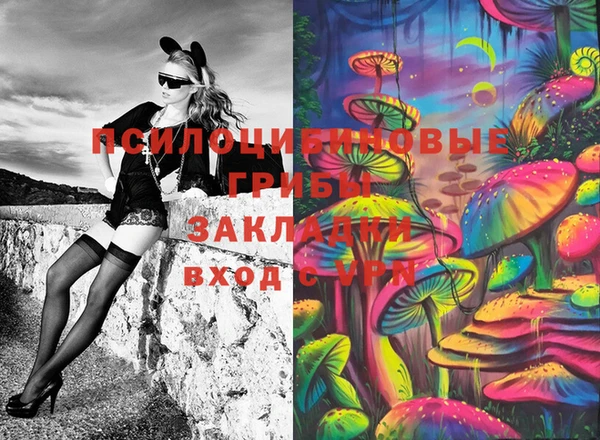 сатива Белокуриха